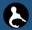 Branford Massage Therapy Logo